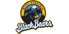 West Virginia Black Bears