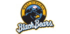 West Virginia Black Bears logo