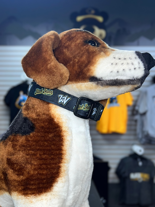 West Virginia Black Bears Dog Collar