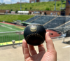 West Virginia Black Bears 10th Season Logo Baseball