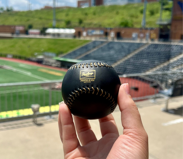 West Virginia Black Bears 10th Season Logo Baseball