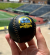 West Virginia Black Bears 10th Season Logo Baseball