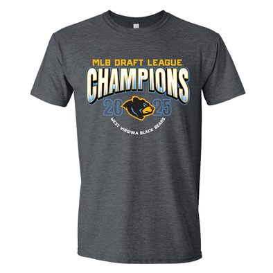 Gray t-shirt with 'MLB Draft League Champions 2025 West Virginia Black Bears' text and logo on a white background
