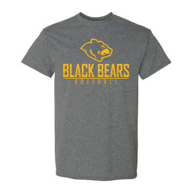 West Virginia Black Bears Grey Alt Physician T-Shirt